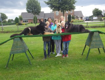 Hundetrainer