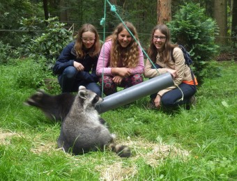 Wildpark