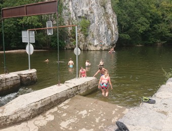 Swimming in the river