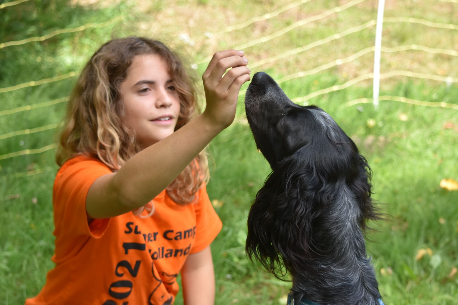 Dierenkamp voor kinderen in 2022